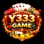 Y333 Game