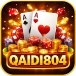 Qaidi804 Game